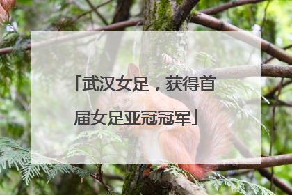 武汉女足，获得首届女足亚冠冠军