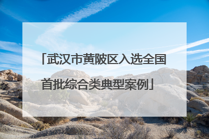 武汉市黄陂区入选全国首批综合类典型案例