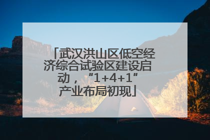 武汉洪山区低空经济综合试验区建设启动，“1+4+1”产业布局初现