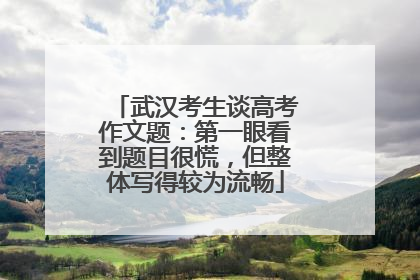 武汉考生谈高考作文题：第一眼看到题目很慌，但整体写得较为流畅