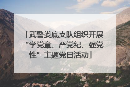 武警娄底支队组织开展“学党章、严党纪、强党性”主题党日活动