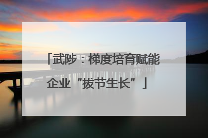 武陟：梯度培育赋能企业“拔节生长”