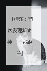 桂东：首次发现新物种——宽距兰