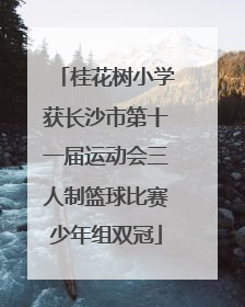 桂花树小学获长沙市第十一届运动会三人制篮球比赛少年组双冠