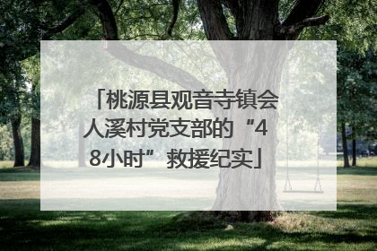 桃源县观音寺镇会人溪村党支部的“48小时”救援纪实