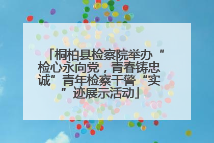 桐柏县检察院举办“检心永向党，青春铸忠诚”青年检察干警“实”迹展示活动