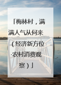 梅林村，满满人气从何来（经济新方位·农村消费观察）