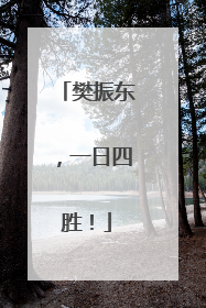 樊振东，一日四胜！
