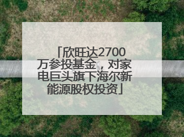欣旺达2700万参投基金，对家电巨头旗下海尔新能源股权投资