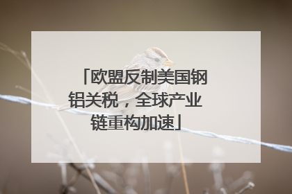 欧盟反制美国钢铝关税，全球产业链重构加速