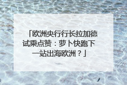 欧洲央行行长拉加德试乘点赞：萝卜快跑下一站出海欧洲？