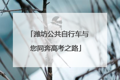 潍坊公共自行车与您同奔高考之路