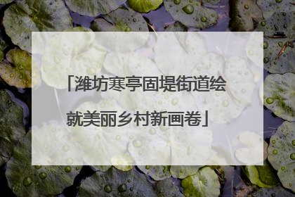 潍坊寒亭固堤街道绘就美丽乡村新画卷