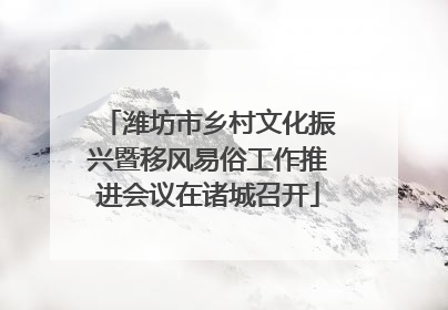 潍坊市乡村文化振兴暨移风易俗工作推进会议在诸城召开
