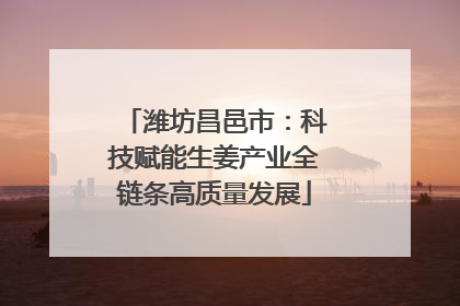 潍坊昌邑市：科技赋能生姜产业全链条高质量发展