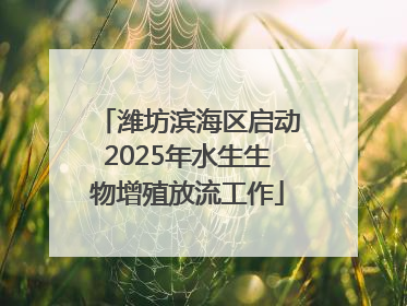 潍坊滨海区启动2025年水生生物增殖放流工作