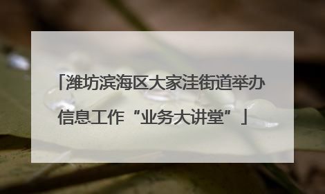 潍坊滨海区大家洼街道举办信息工作“业务大讲堂”