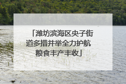 潍坊滨海区央子街道多措并举全力护航粮食丰产丰收