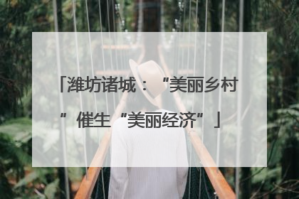 潍坊诸城：“美丽乡村”催生“美丽经济”