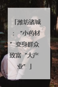 潍坊诸城：“小药材”变身群众致富“大产业”