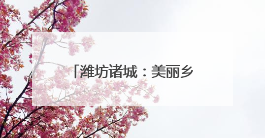 潍坊诸城：美丽乡村催生美丽经济