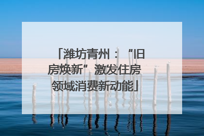 潍坊青州：“旧房焕新”激发住房领域消费新动能