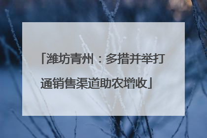 潍坊青州：多措并举打通销售渠道助农增收