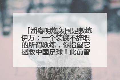 潘粤明炮轰国足教练伊万：一个装傻不辞职的所谓教练，你指望它拯救中国足球！此前曾多次发文评价国足