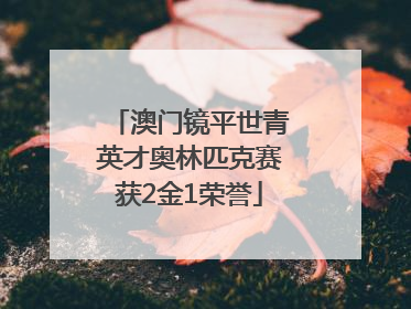 澳门镜平世青英才奥林匹克赛获2金1荣誉