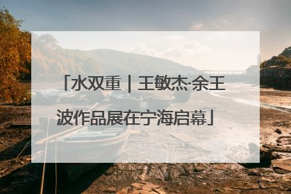 水双重｜王敏杰·余王波作品展在宁海启幕