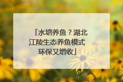 水塘养鱼？湖北江陵生态养鱼模式环保又增收