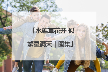 水蕴草花开 似繁星满天｜图集