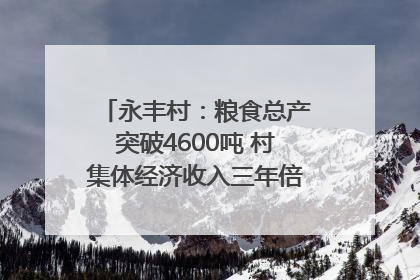 永丰村：粮食总产突破4600吨 村集体经济收入三年倍增｜牵挂的村