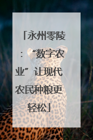 永州零陵：“数字农业”让现代农民种粮更轻松