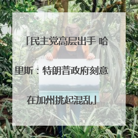 民主党高层出手 哈里斯：特朗普政府刻意在加州挑起混乱