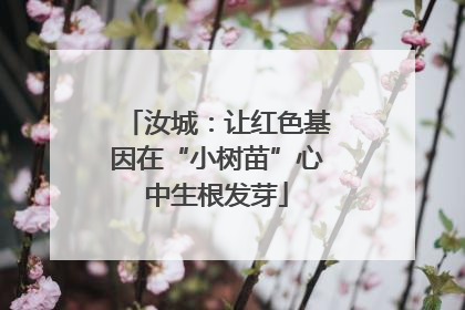汝城：让红色基因在“小树苗”心中生根发芽