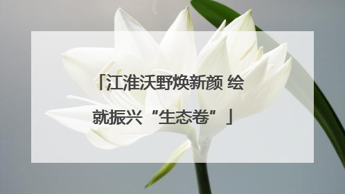 江淮沃野焕新颜 绘就振兴“生态卷”