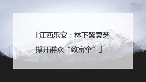 江西乐安：林下紫灵芝撑开群众“致富伞”