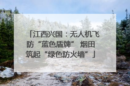 江西兴国：无人机飞防“蓝色盾牌” 烟田筑起“绿色防火墙”