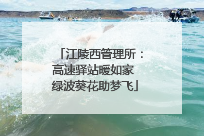 江陵西管理所：高速驿站暖如家 绿波葵花助梦飞