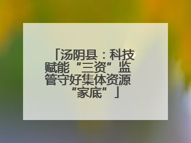 汤阴县：科技赋能“三资”监管守好集体资源“家底”