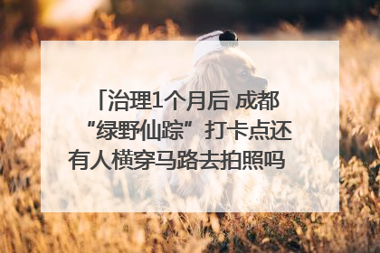 治理1个月后 成都“绿野仙踪”打卡点还有人横穿马路去拍照吗？｜民情瞭望