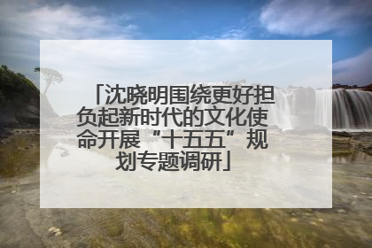 沈晓明围绕更好担负起新时代的文化使命开展“十五五”规划专题调研