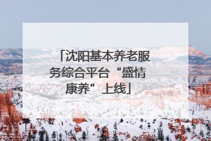 沈阳基本养老服务综合平台“盛情康养”上线