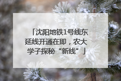 沈阳地铁1号线东延线开通在即，农大学子探秘“新线”