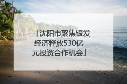 沈阳市聚焦银发经济释放530亿元投资合作机会
