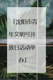 沈阳市青年文明号开放日活动举办