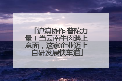沪滇协作·普陀力量〡当云南牛肉遇上意面，这家企业迈上自研发展快车道
