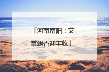 河南南阳：艾草飘香迎丰收