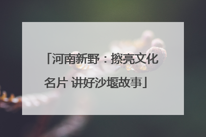 河南新野：擦亮文化名片 讲好沙堰故事